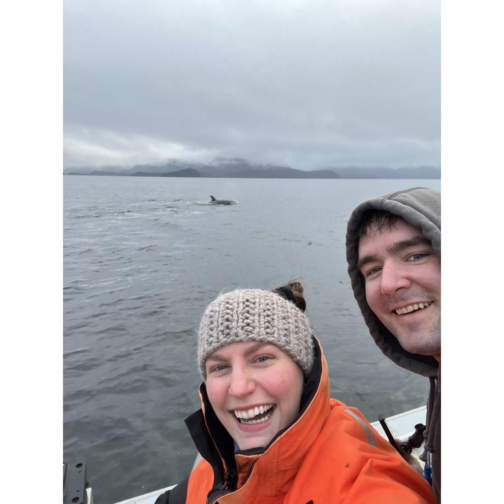 Orca watching on my mom's boat!