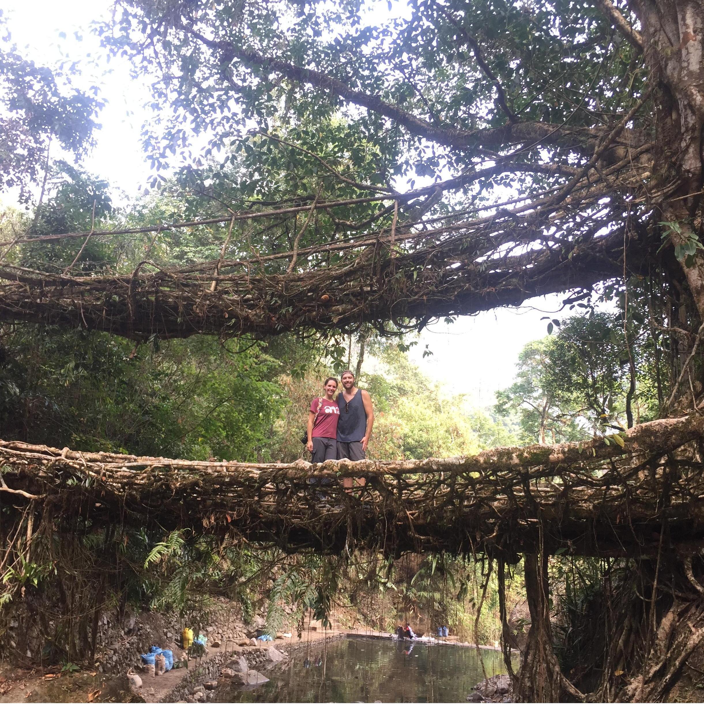 Double decker living root bridge in Cherrapunji, India