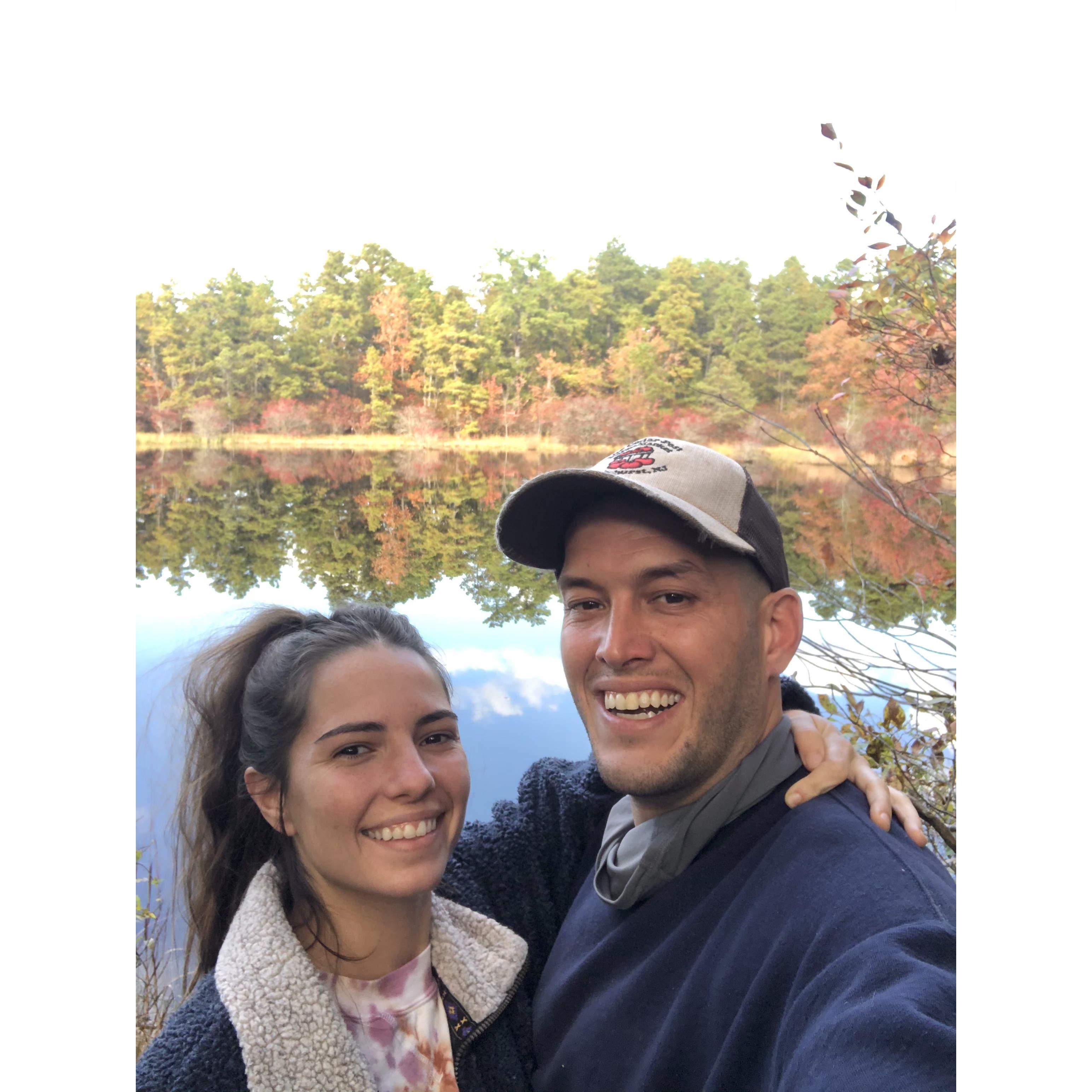 Blueberry Bog, NJ, 2020