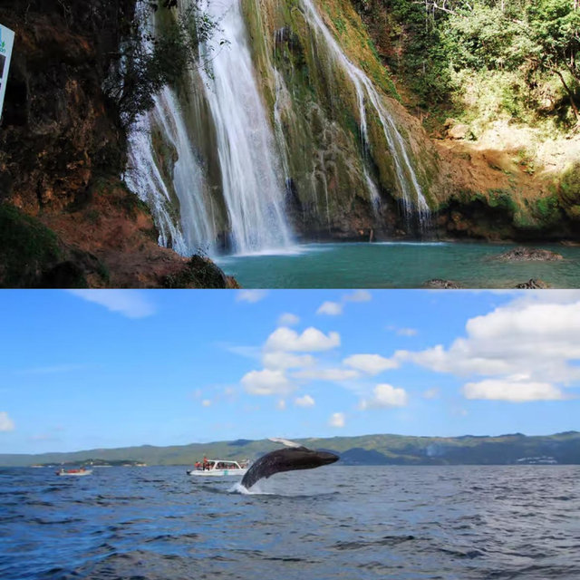 Whale Watching and Waterfall Adventure