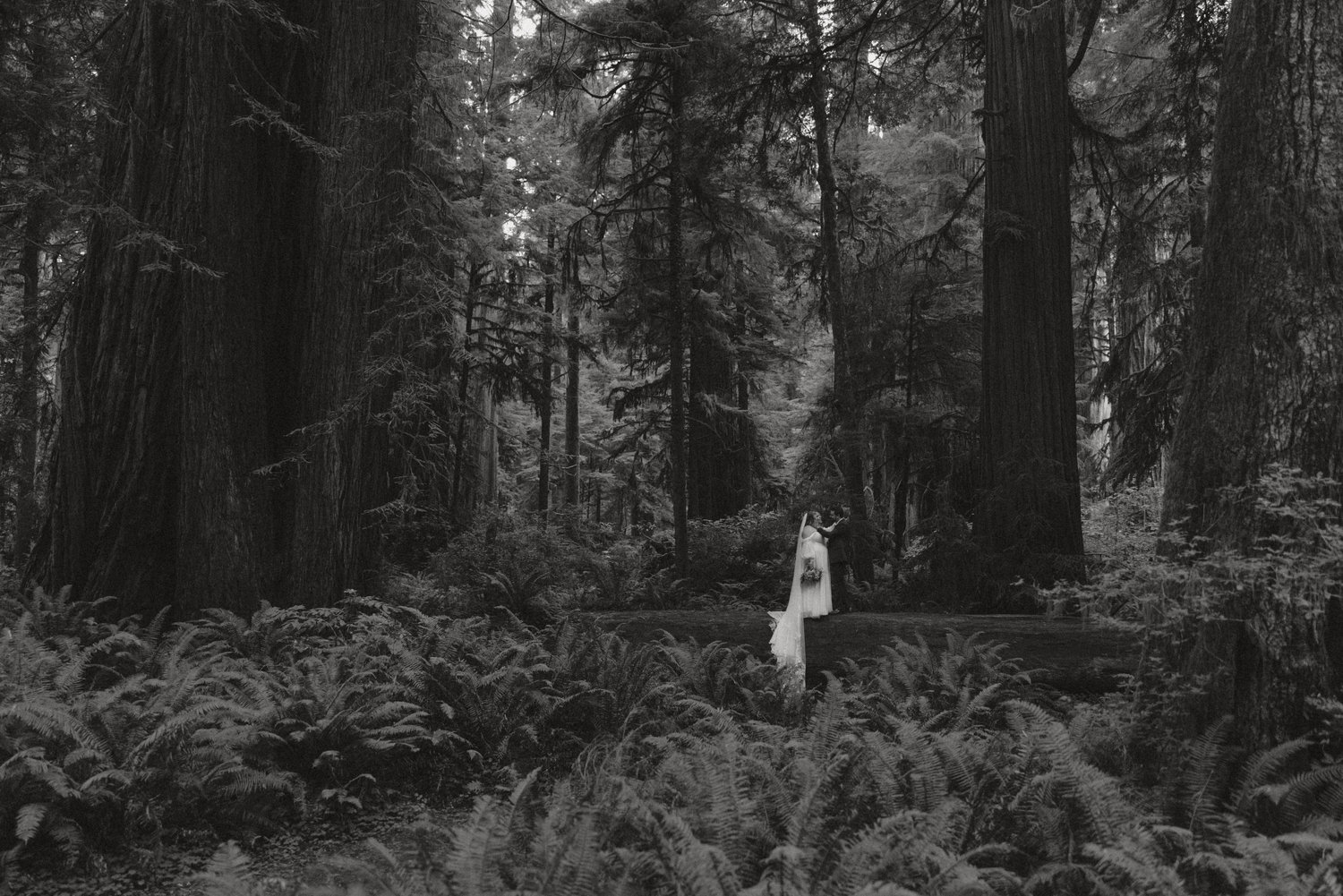 The Wedding Website of Karley Pearce and Kamaron Pearce