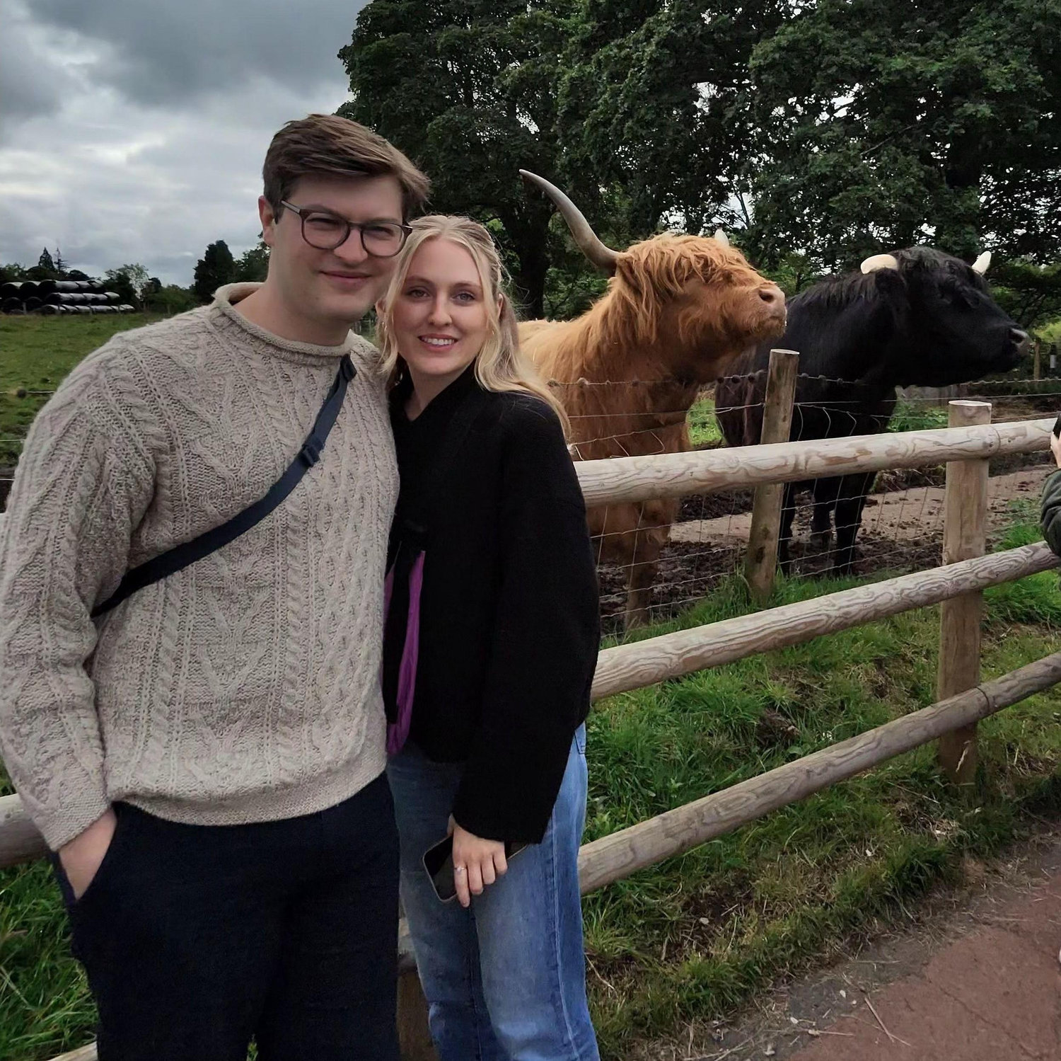 Another Scotland pic. Wee hairy coos