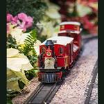 Olbrich's Holiday Express