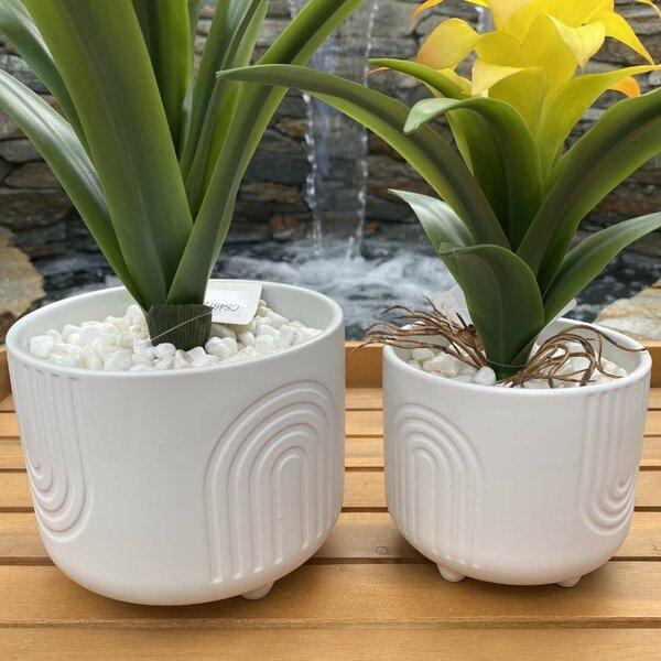 Seaway 2-Piece Ceramic Pot Planter Set