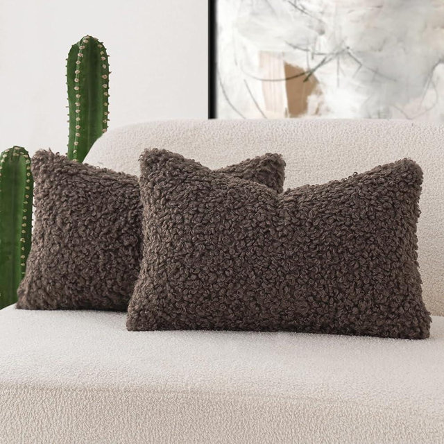 Foindtower Set of 2 Curly Teddy Wool Pillow Covers Decorative Boucle Textured Lumbar Throw Pillow Faux Fur Pillowcases Sheepskin Cushion Case for Sofa Bedroom Car 12"x20" Chocolate
