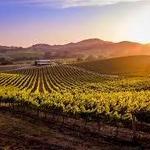 Sonoma