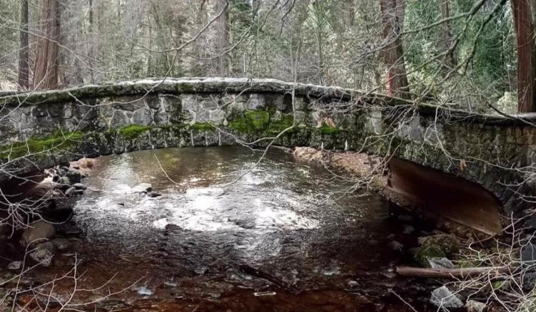 The Wedding Website of Sierra Nicole Guarino and Jeffery Alan Williams