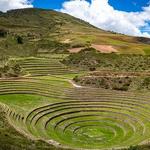 Moray