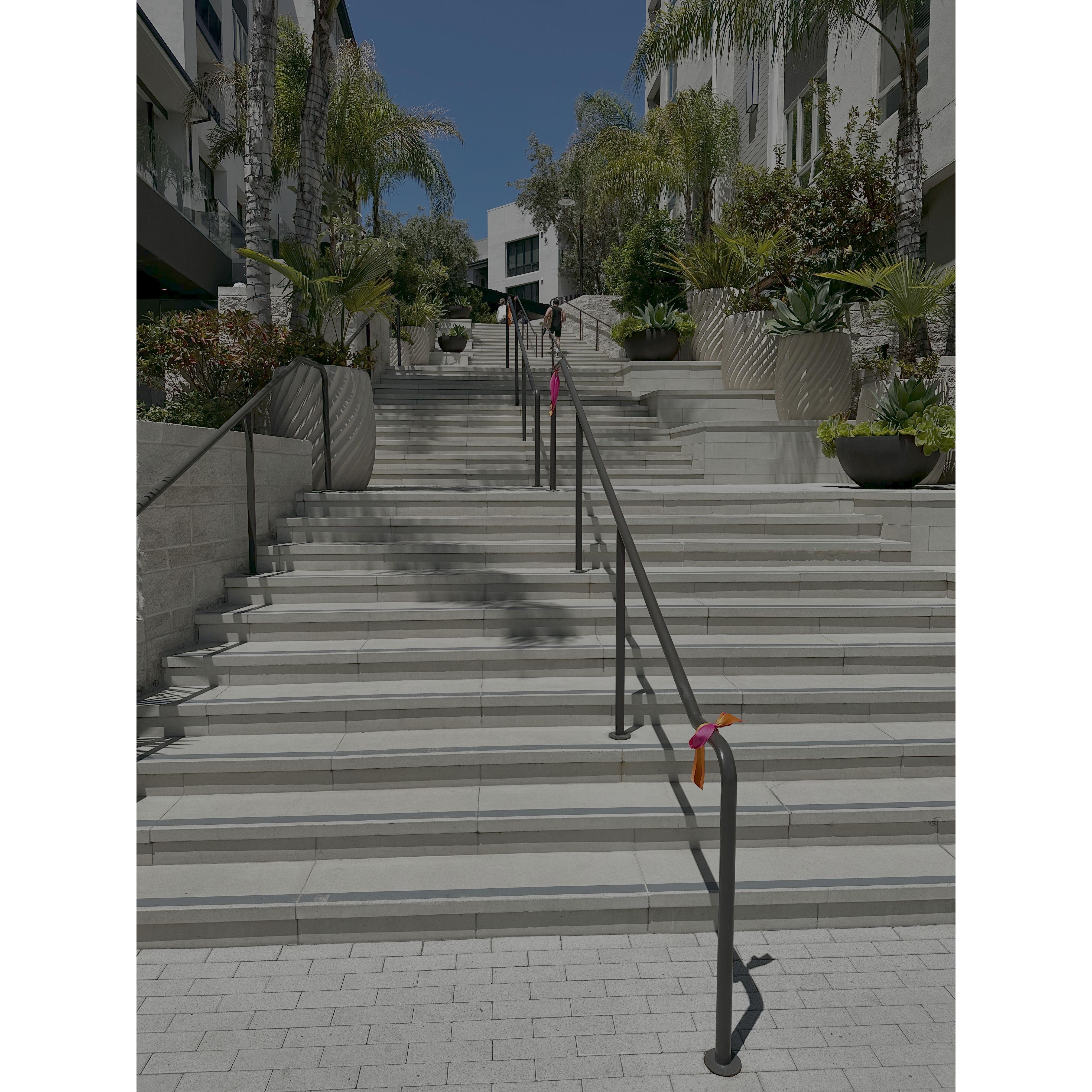 Walk up grand staircase to Welcome Reception (if parking in paid parking structure or taking taxi)