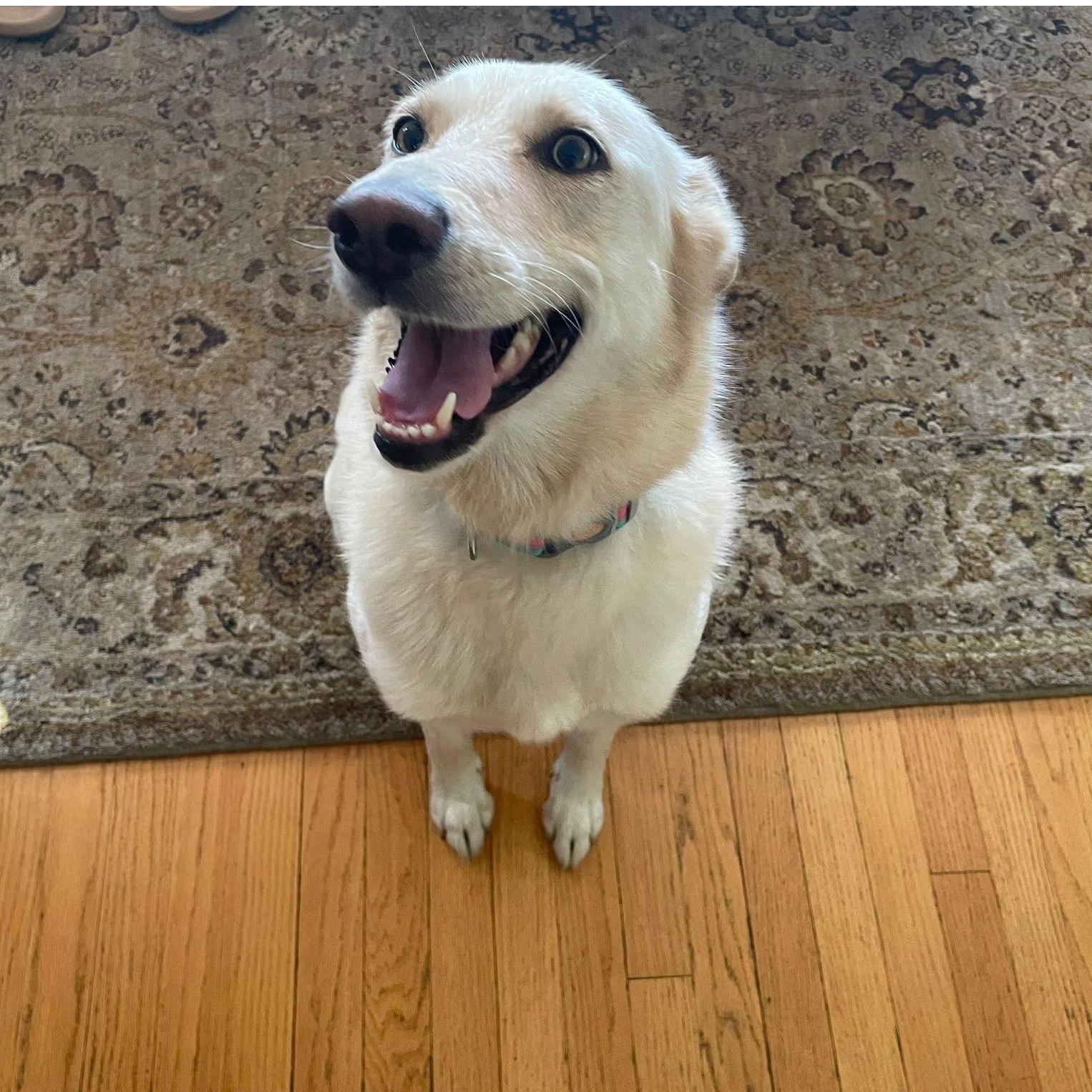 Beloved Lola Arroyo is thrilled to see Arriana & Brian tie the knot