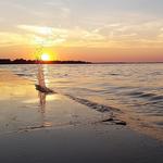 Maumee Bay State Park