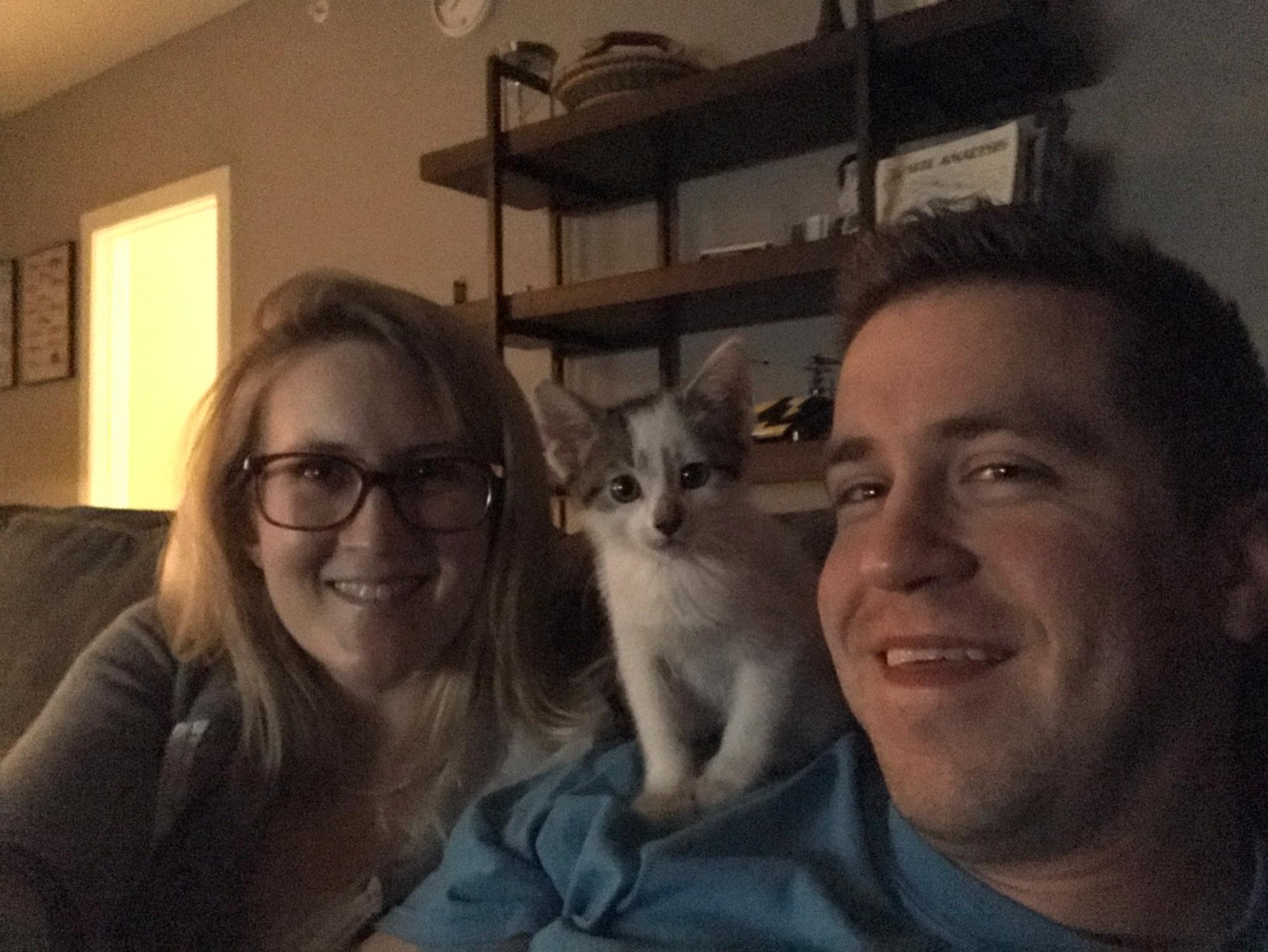 One of our favorite things to do is foster little kittens!