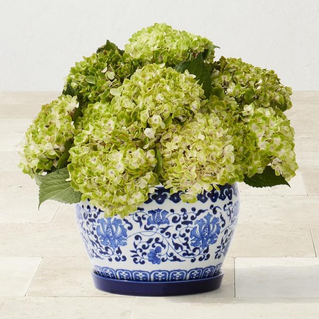 Blue and White Ceramic Planter Small with Tray