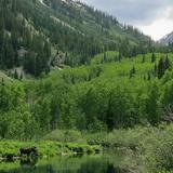 Maroon Bells Scenic Area
