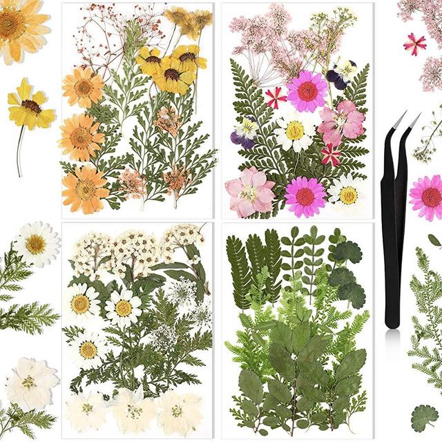 Nuanchu Real Dried Pressed Flowers for Resin Mold, Leaves Natural with Tweezers for Scrapbooking DIY Candle Decoration Resin Accessories Jewelry Crafts Nails Decor Making