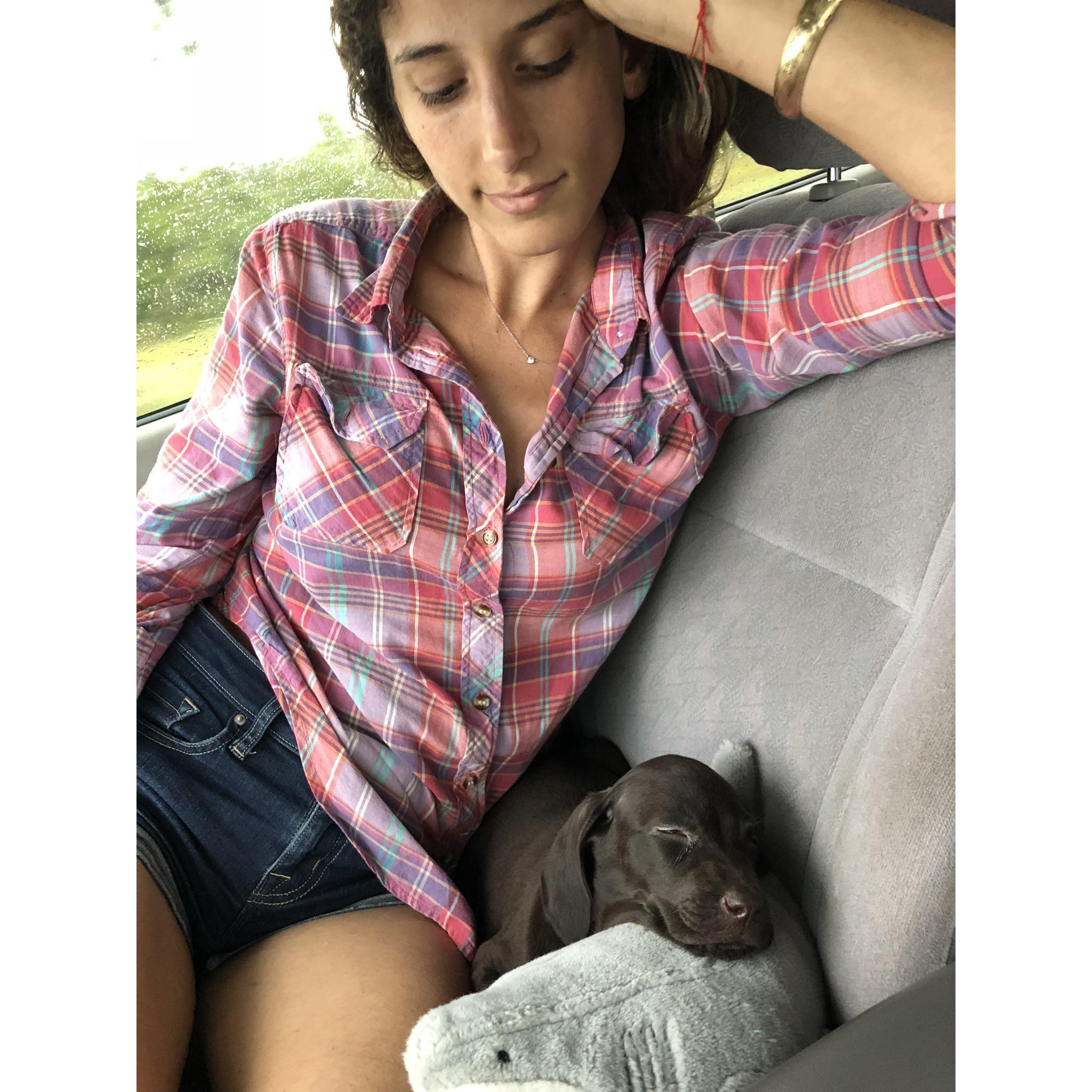 Bringing home Gracie for the first time