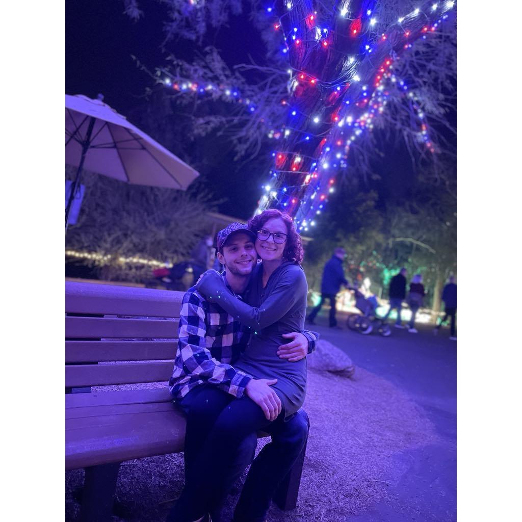 Phoenix Zoo lights