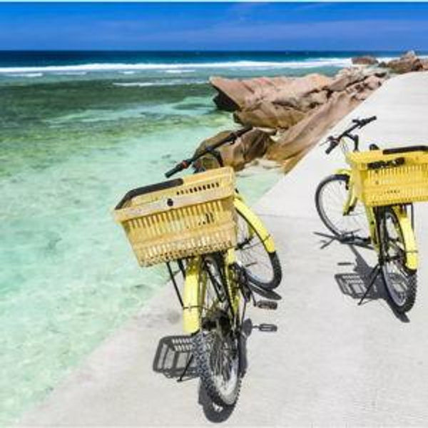 Bicycle Rental for Two