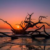 Driftwood Beach