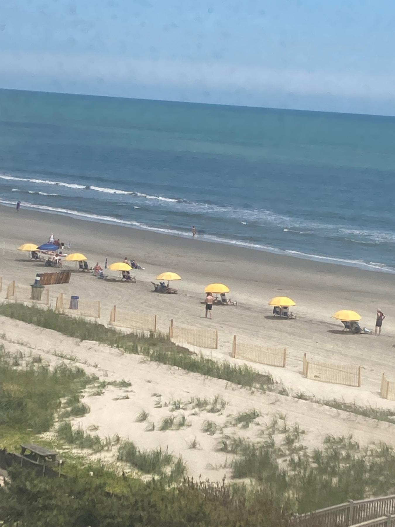 This was our room view.