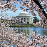 District of Columbia