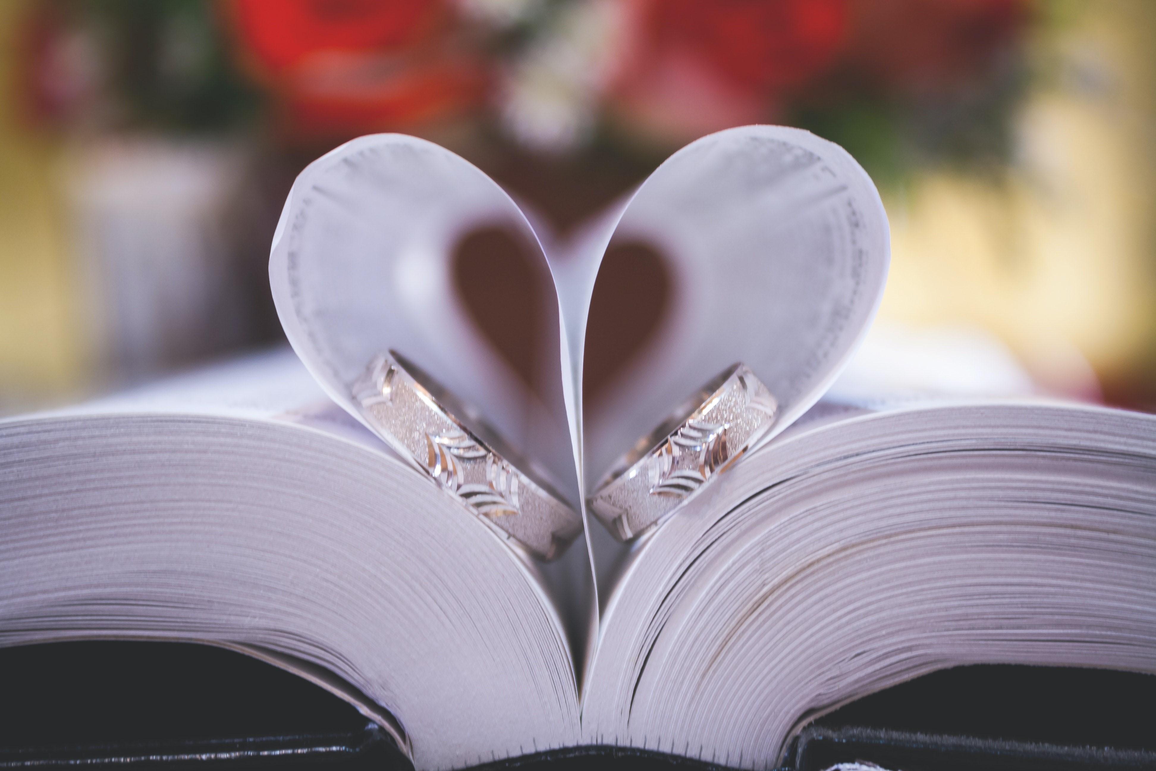 The Wedding Website of Alexandra Trafford and Michael Hurylovich