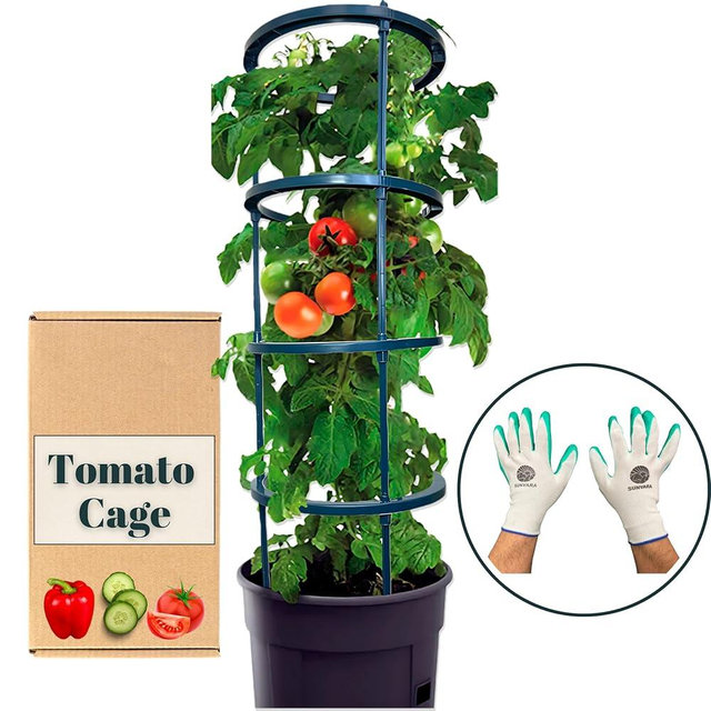 SunVara Small Tomato Cage for Pots Mini Tomato Cage Trellis 9'' Each 36'' in Total with Gloves