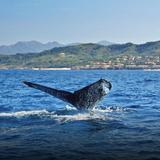 Activities - Four Seasons Resort Punta Mita