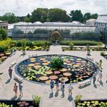 Longwood Gardens