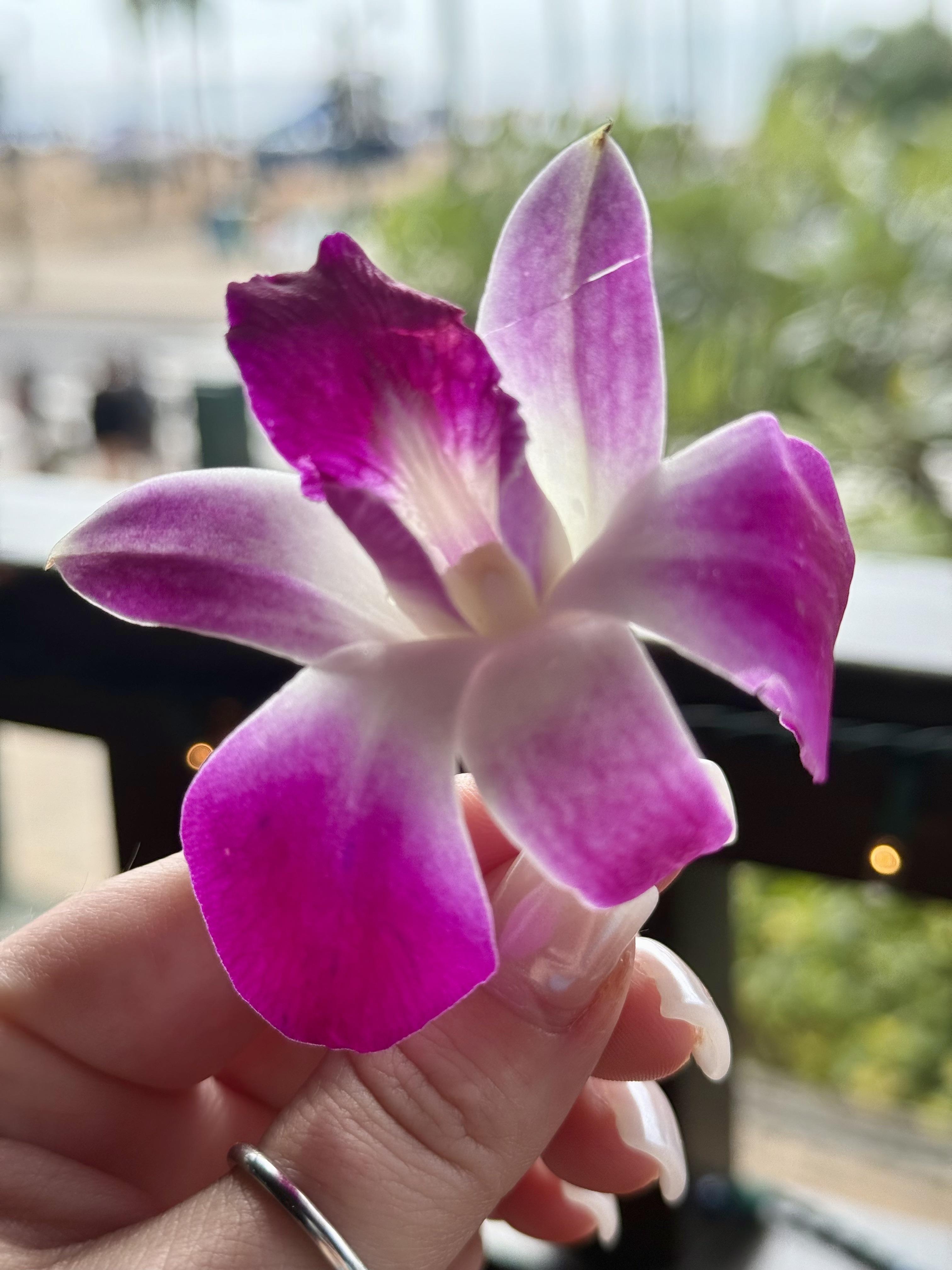 ca709a71-72a0-413f-972d-d6c3d064a1e5