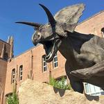 Yale Peabody Museum