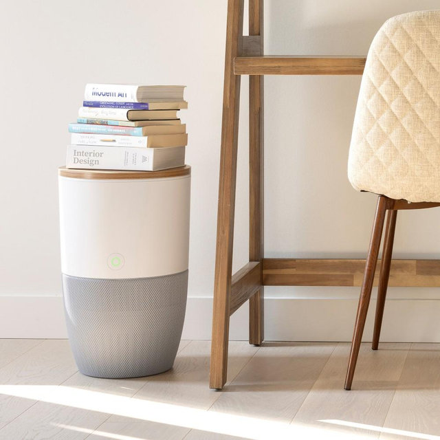 Dupray Bloom Air Purifier Walnut Table with Gray Filter