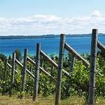 Leelanau Peninsula Wine Trail