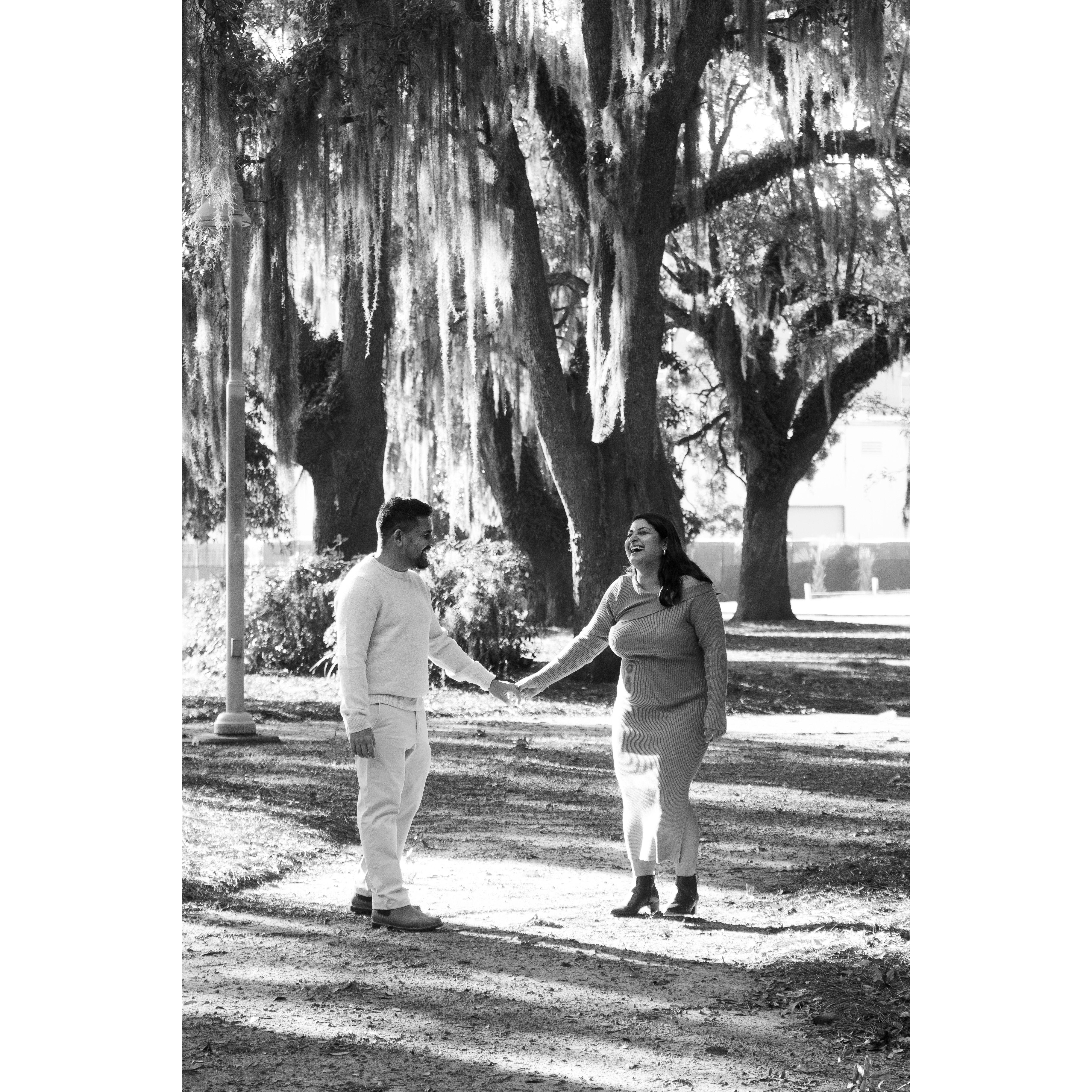 First time seeing live Oak trees.