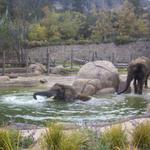 Cheyenne Mountain Zoo