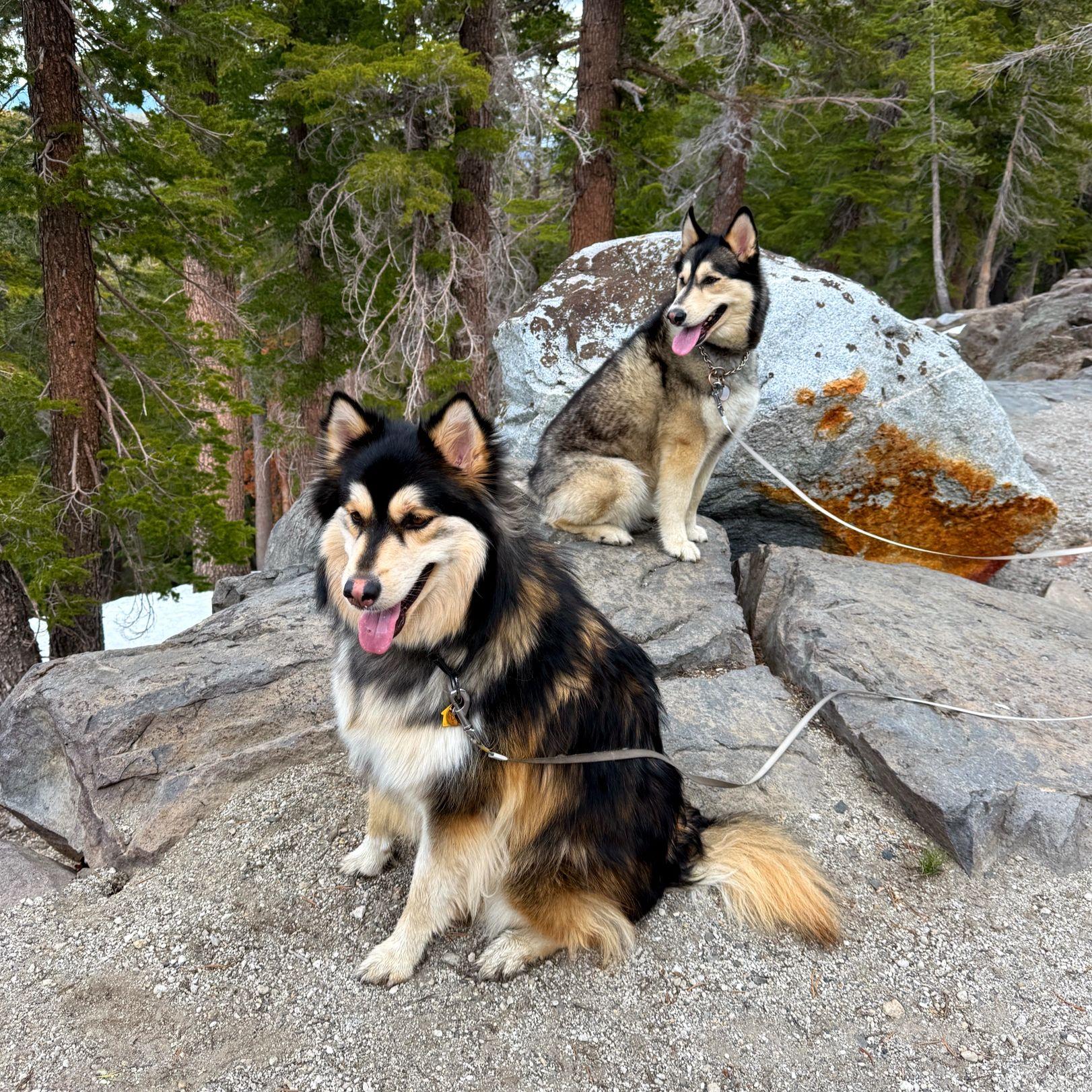 The girls in Mammoth Lakes with us, above Twin Lakes