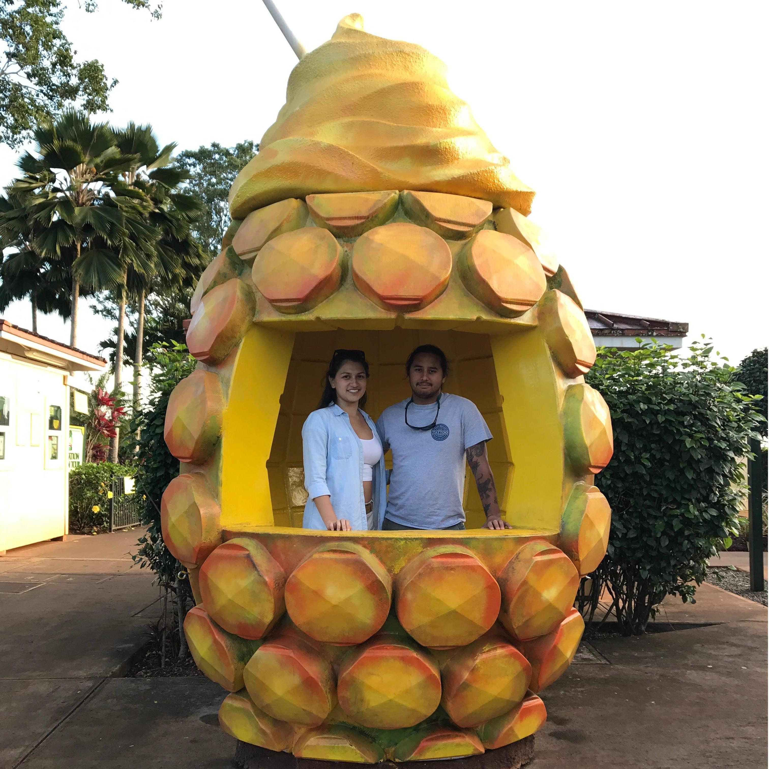 Visiting the Dole plantation -- just one of those things you have to do in Hawaii!