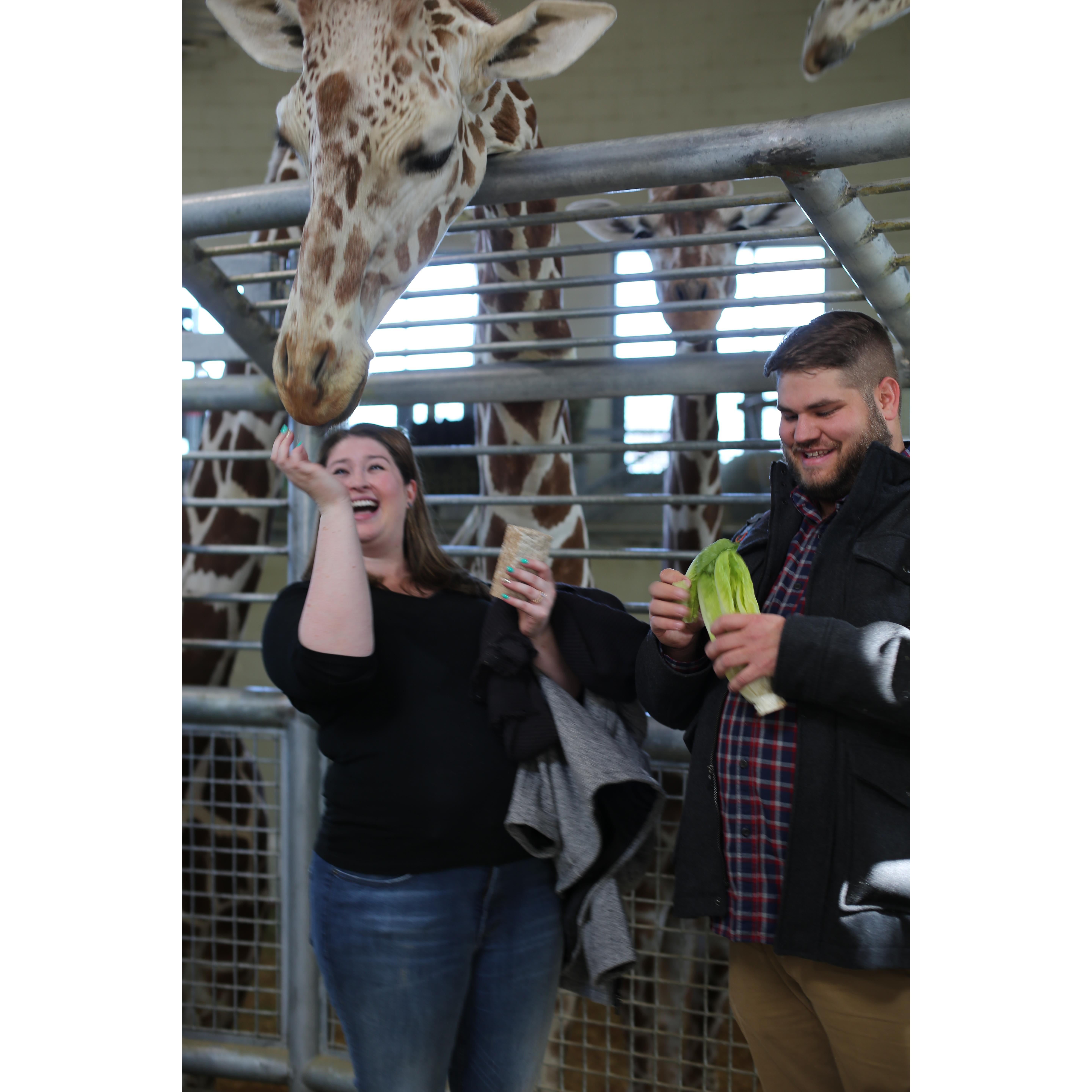 Spending time with our favorite animal friends