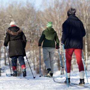 Cross-Country Ski Rentals in Norway