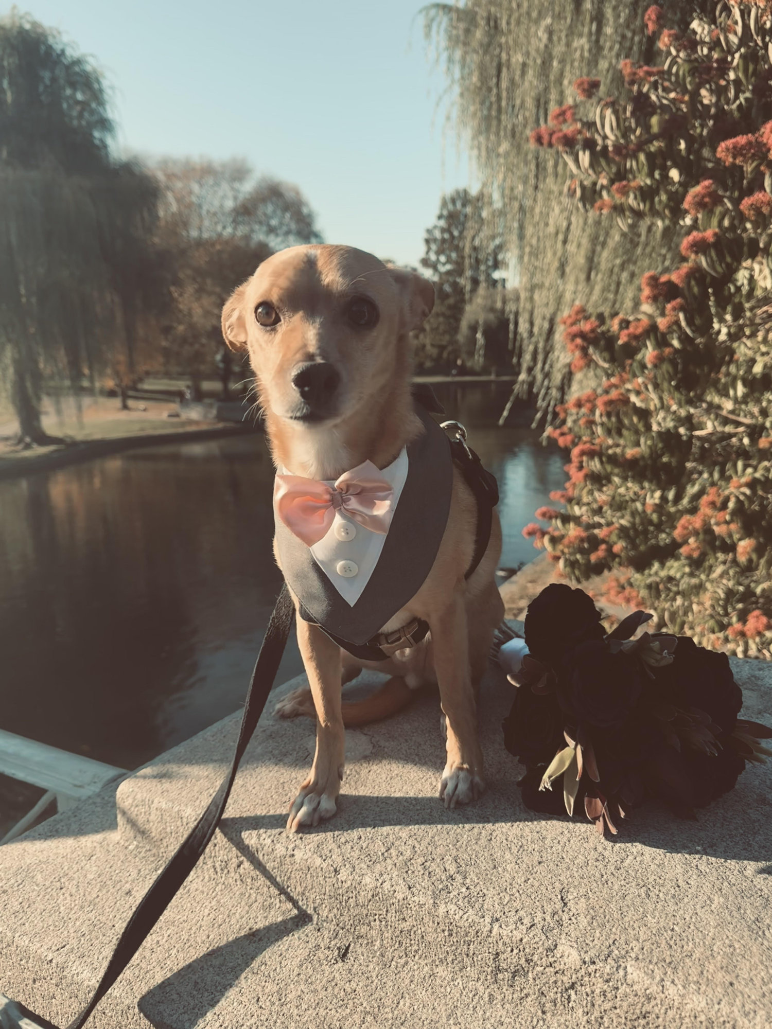 The Wedding Website of Jenelle Freeborn and George Lishchynsky