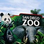 San Diego Zoo