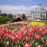 Lewis Ginter Botanical Garden