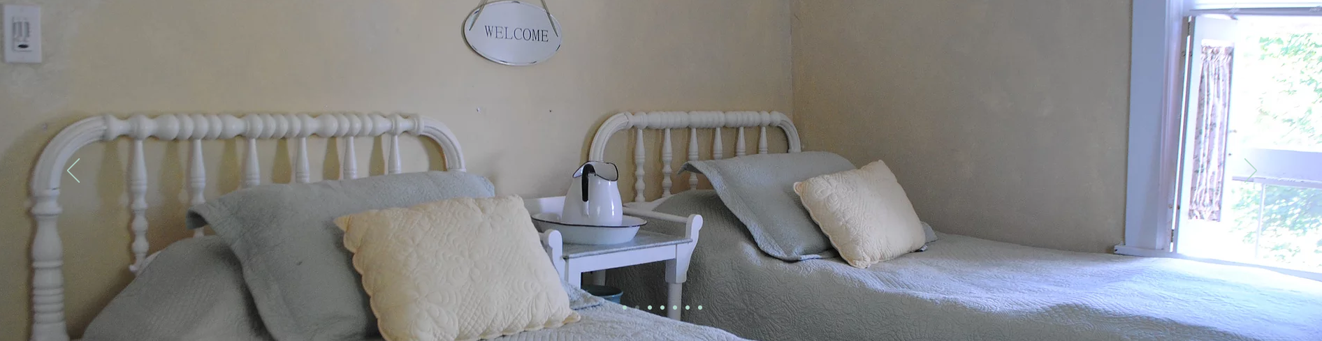 The Wedding Website of Alyssa Mumford and Adam Noel