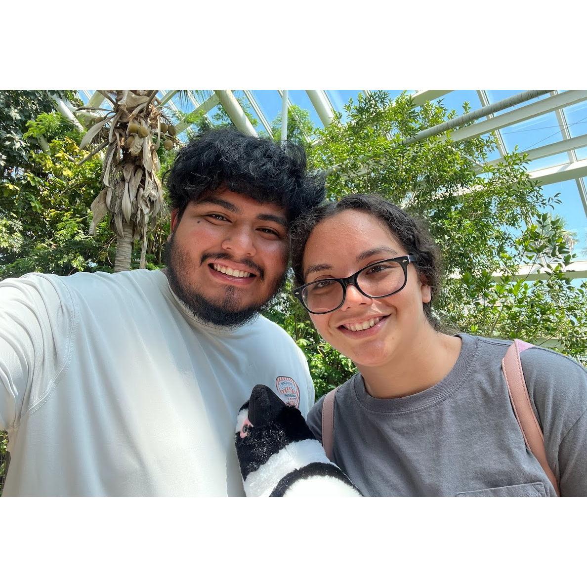 MOODY GARDENS