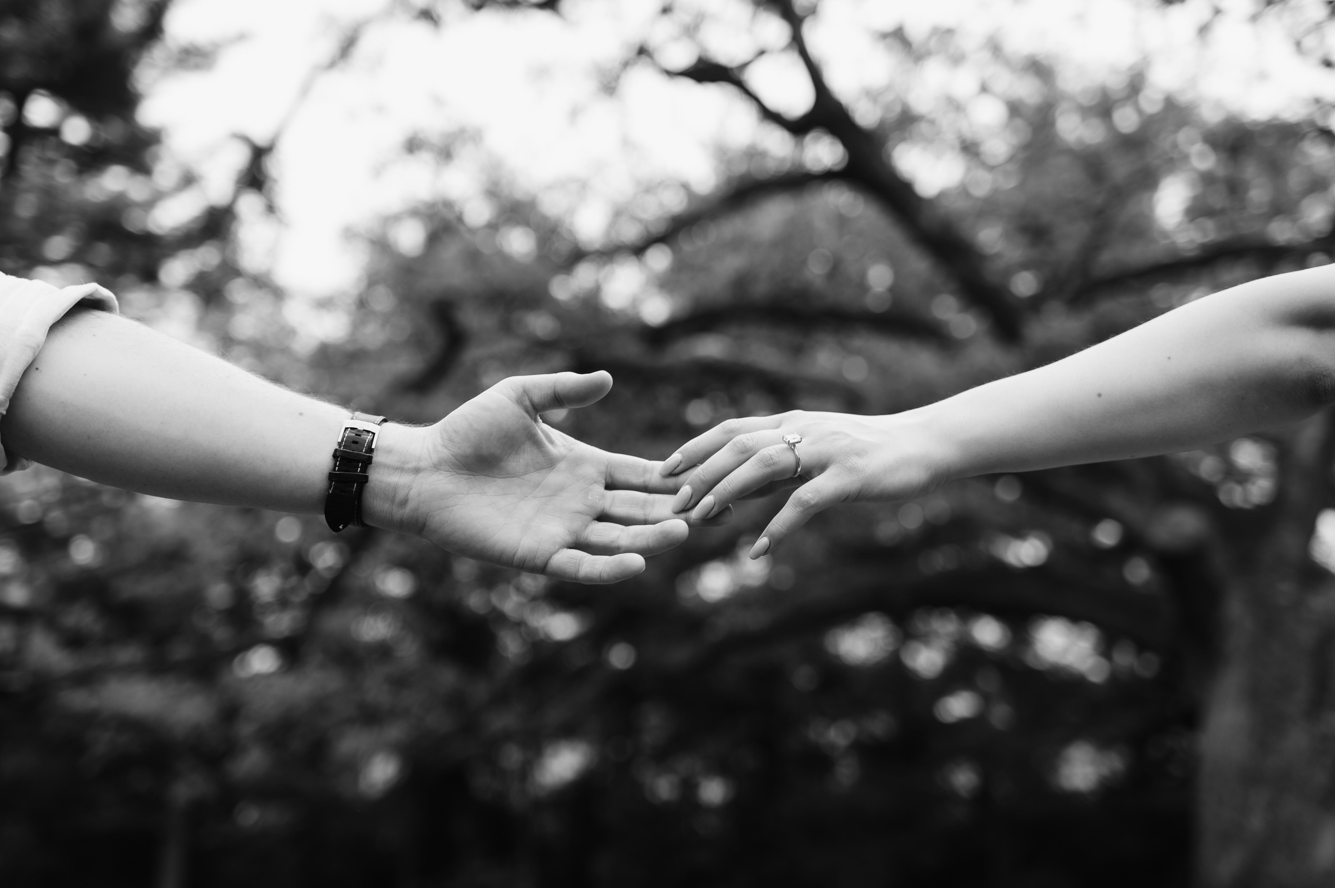 The Wedding Website of Dragana Dragutinovic and Graham Zola