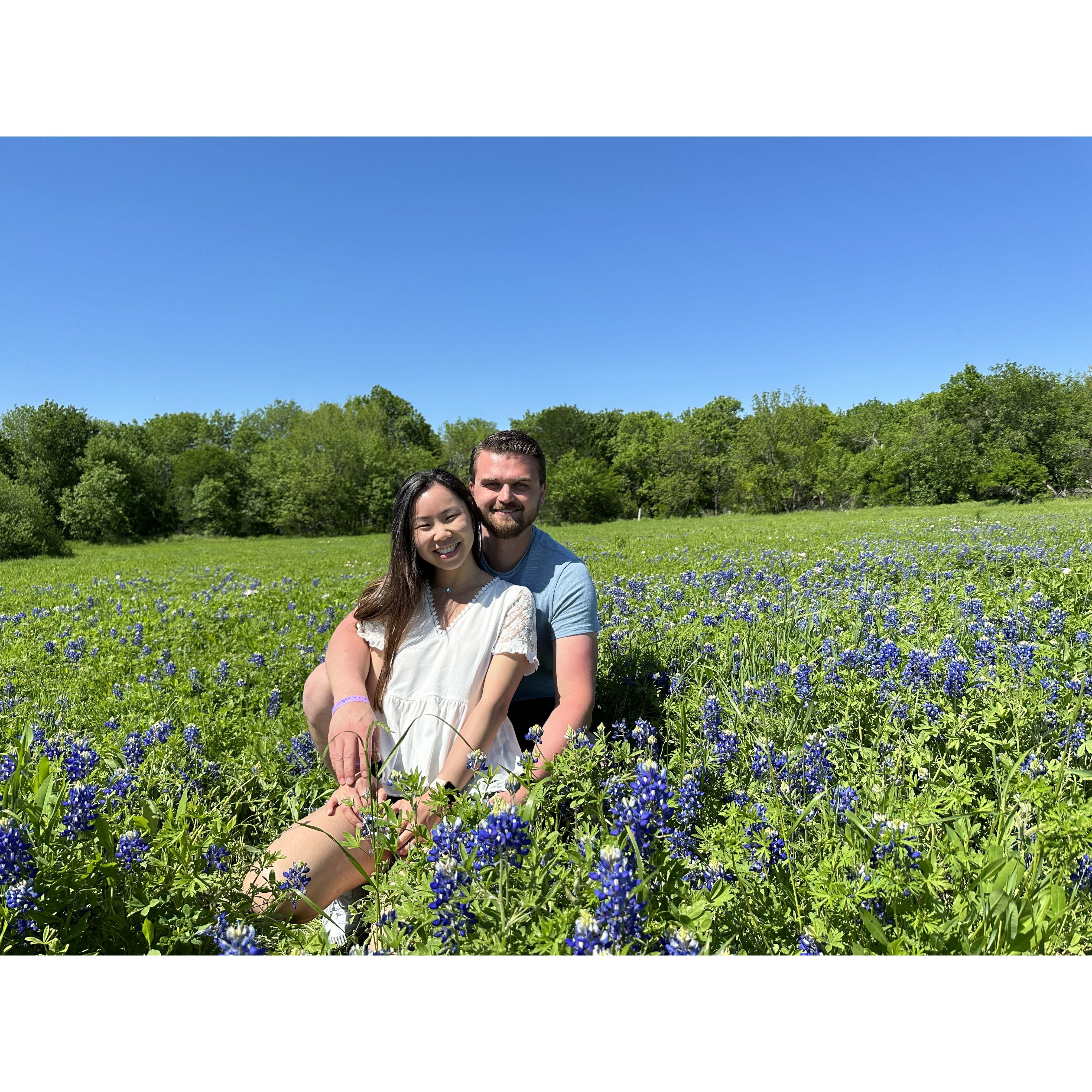 Bluebonnet festival in Ennis, Texas.