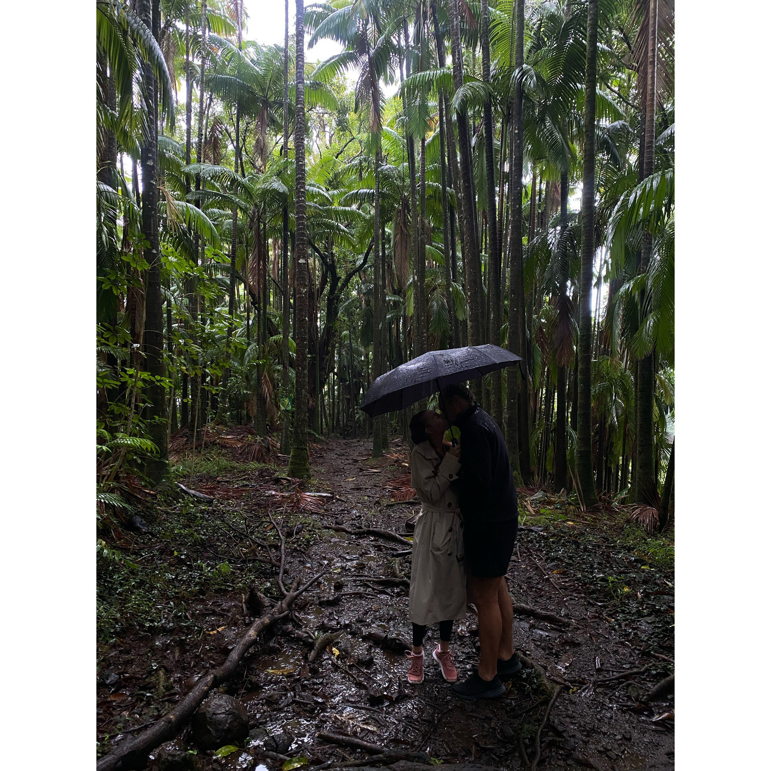 Rainy Days in the Rainforest
December 5, 2021