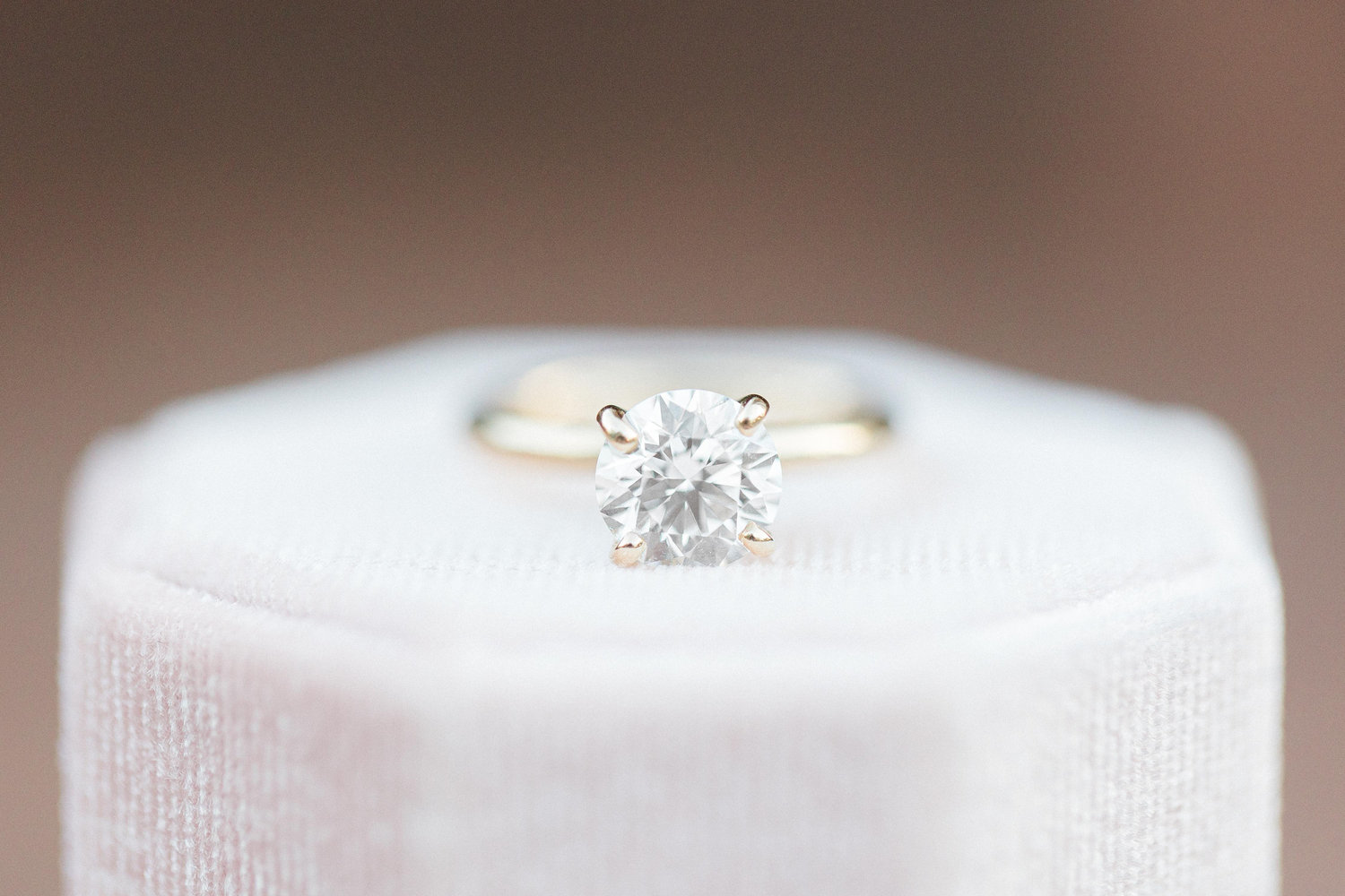 The Wedding Website of Siobhaín Ward and Kyle Doms