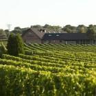Newport Vineyards