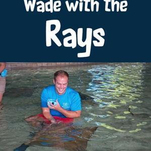 Wade with the Rays St. Louis Zoo Tour